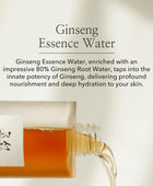 Beauty of Joseon Ginseng Essence Water - Gesichtswasser - DaniChou-Store