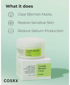 COSRX Centella Blemish Cream - DaniChou-Store