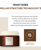 SKIN1004 Madagascar Centella Probio-Cica Enrich Cream 50ml - DaniChou-Store